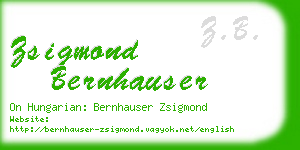 zsigmond bernhauser business card